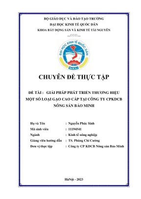 Giải Pháp Phát Triển Thương Hiệu Gạo ST25 Ruộng Rươi Bảo