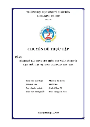 Đánh giá tác động thâm hụt ngân sách đến lạm phát tại