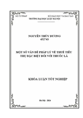Phân tích pháp lý về thuế tiêu thụ đặc biệt đối với