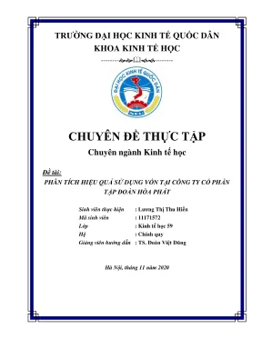 Phân tích hiệu quả sử dụng vốn tại Tập đoàn Hòa Phát -