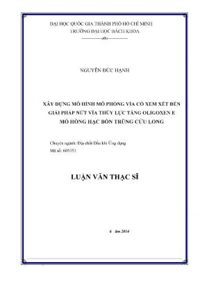 Luận văn thạc sĩ: Mô hình mô phỏng vỉa dầu khí với giải 