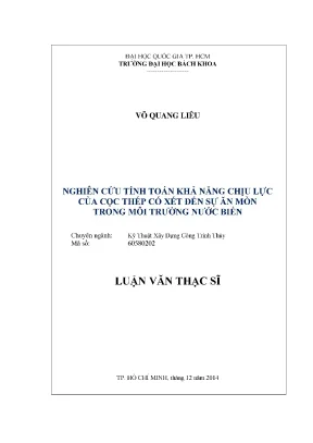Nghiên cứu tính toán khả năng chịu lực của cọc thép