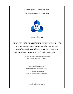 Khảo sát hiệu quả phối hợp ciprofloxacin với