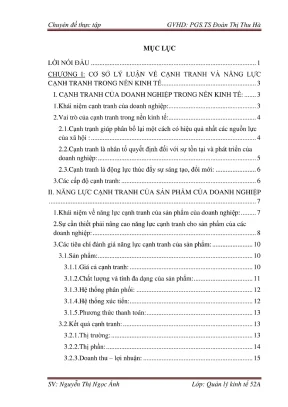 Chuyên đề thực tập: Nâng cao năng lực cạnh tranh sản