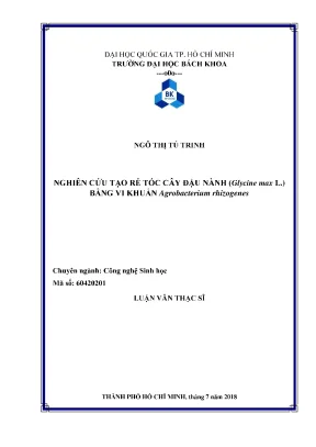 Nghiên cứu tạo rễ tóc cây đậu nành Glycine Max L bằng vi