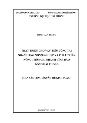 Luận Văn Thạc Sĩ: Phát Triển Cho Vay Tiêu Dùng Tại Ngân