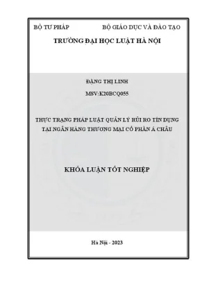 Thực trạng pháp luật quản lý rủi ro tín dụng tại Ngân 