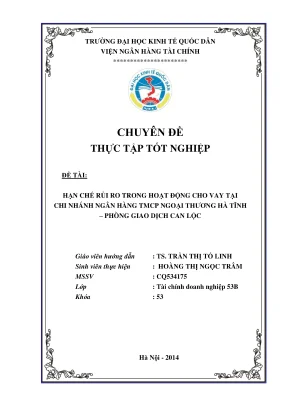 Chuyên đề thực tập: Giảm thiểu rủi ro cho vay tại Ngân