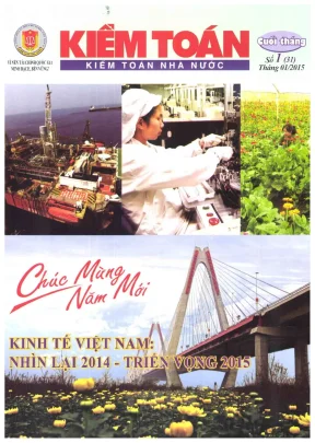Kiểm toán 31 ban biên tập Nguyễn Thắng và các thành viên