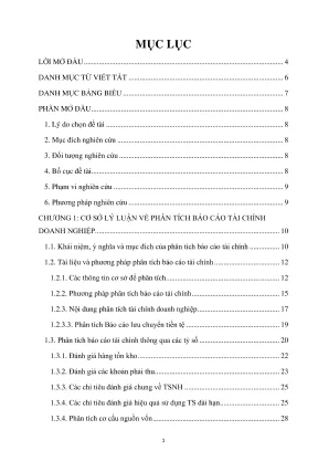 Phân tích báo cáo tài chính công ty cổ phần Vịnh Mặt 