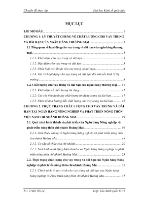 Nâng cao chất lượng cho vay trung và dài hạn tại Ngân 