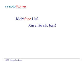 Chiến lược kinh doanh hiệu quả của Mobifone Huế - Phân