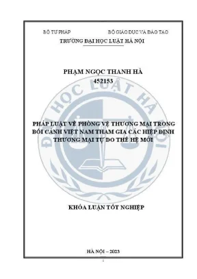 Phòng vệ thương mại trong bối cảnh Việt Nam tham gia