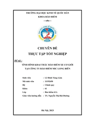 Tình hình khai thác bảo hiểm xe cơ giới tại MIC Long 