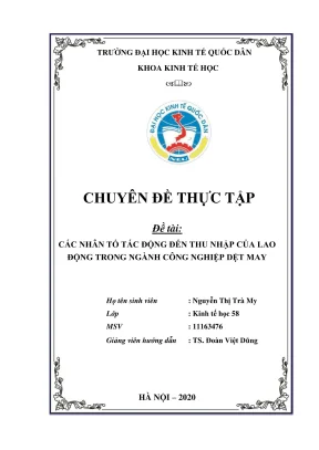 Các nhân tố ảnh hưởng đến thu nhập lao động ngành dệt