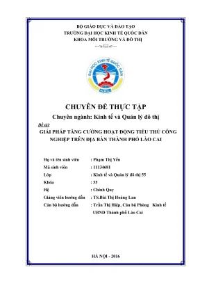 Giải Pháp Tăng Cường Hoạt Động Tiểu Thủ Công Nghiệp Tại