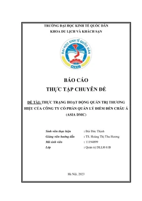 Thực Trạng Quản Trị Thương Hiệu Tại Asia DMC: Chuyên Đề 
