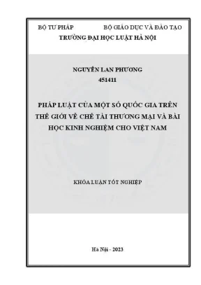 Chế Tài Thương Mại Quốc Tế: Bài Học Kinh Nghiệm Cho Việt Nam