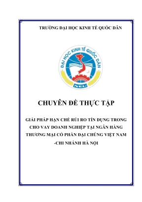 Giải pháp hạn chế rủi ro tín dụng trong cho vay doanh 