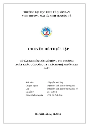 Chiến lược mở rộng thị trường xuất khẩu cho công ty TNHH 