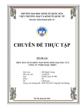 Chuyên đề thực tập: Giải pháp thúc đẩy xuất khẩu kim 