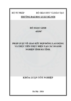Pháp Luật Giao Kết Hợp Đồng Lao Động & Thực Tiễn Tại 