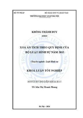 Hướng dẫn xóa án tích theo Bộ luật Hình sự 2015 - Khóa