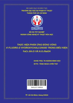 Đồ án tốt nghiệp: Phản ứng đóng vòng