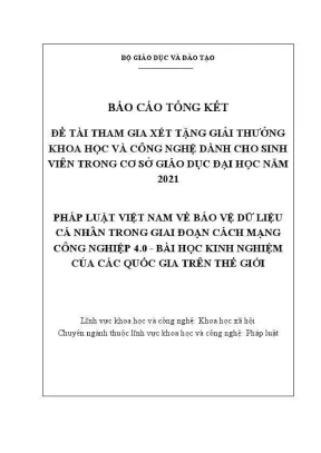 Báo cáo tổng kết pháp luật Việt Nam về bảo vệ dữ liệu cá