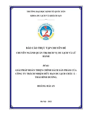 Giải Pháp Hoàn Thiện Chính Sách Sản Phẩm - Công Ty TNHH 