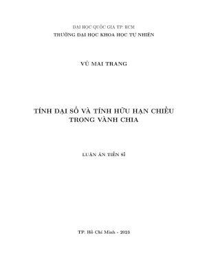 Luận án tiến sĩ: Tính đại số và hữu hạn chiều trong vành 