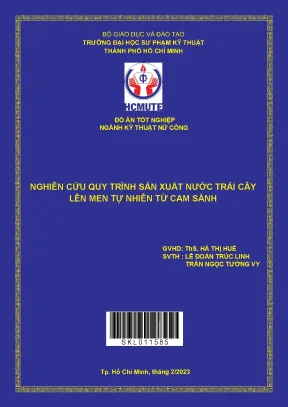 Quy Trình Sản Xuất Nước Cam Sành Lên Men Tự Nhiên Hiệu Quả