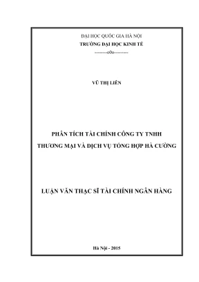 Phân Tích Tài Chính Công Ty TNHH Thương Mại Và Dịch Vụ
