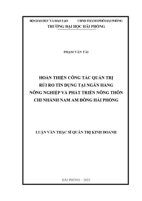 Hoàn Thiện Quản Trị Rủi Ro Tín Dụng Tại Ngân Hàng Nông