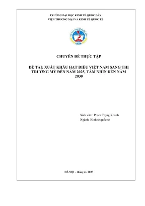 Xuất khẩu hạt điều Việt Nam sang Mỹ: Tầm nhìn 2025-2030