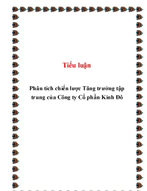 Phân tích chiến lược tăng trưởng tập trung của Công ty