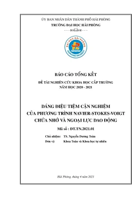 Nghiên cứu dáng điệu tiệm cận phương trình