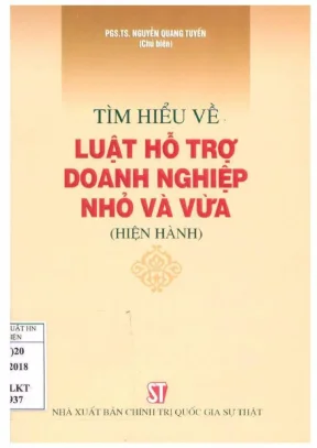 Luật hỗ trợ doanh nghiệp nhỏ và vừa hiện hành - Nguyễn