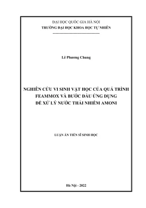 Nghiên cứu vi sinh vật học quá trình Feammox và ứng dụng 