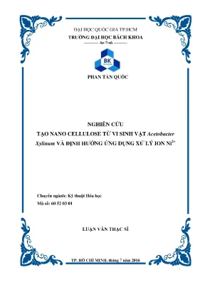 Nghiên cứu tạo nano cellulose từ Acetobacter xylinum và