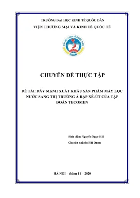 Chiến lược đẩy mạnh xuất khẩu máy lọc nước sang thị 