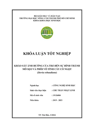 Khảo sát ảnh hưởng của TDZ đến mô sẹo và phôi vô tính