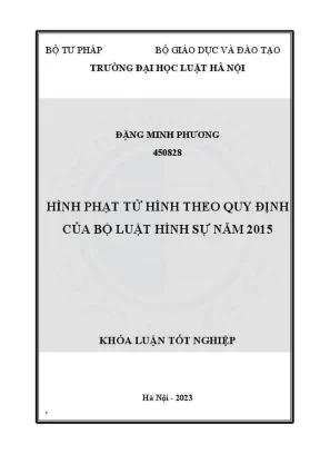 Phân tích hình phạt tử hình trong Bộ luật Hình sự 2015 - 