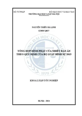 Tổng hợp hình phạt trong các bản án theo Bộ luật Hình sự