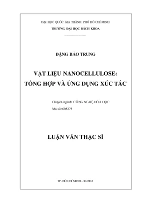 Luận Văn Thạc Sĩ: Tổng Hợp Và Ứng Dụng Nanocellulose