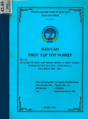 Thực Trạng Trục Lợi Bảo Hiểm Xã Hội Tại Mai Sơn, Sơn La 