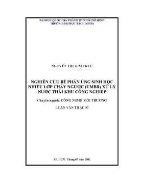 Luận văn thạc sĩ công nghệ môi trường nghiên cứu bể phản ứng sinh học nhiều lớp chảy ngược umbr xử lý nước thải khu công nghiệp