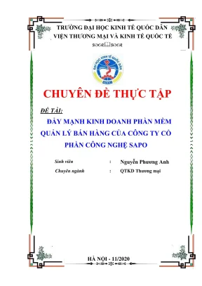 Chuyên đề thực tập: Chiến lược đẩy mạnh kinh doanh phần 