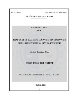 Pháp Luật Lao Động Giúp Việc Gia Đình Ở Việt Nam: Thực 