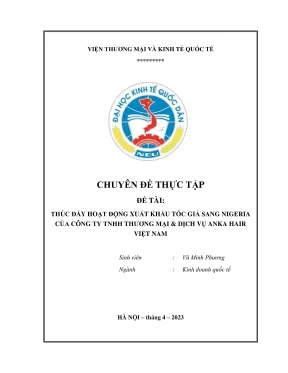 Chiến lược thúc đẩy xuất khẩu tóc giả sang Nigeria của 